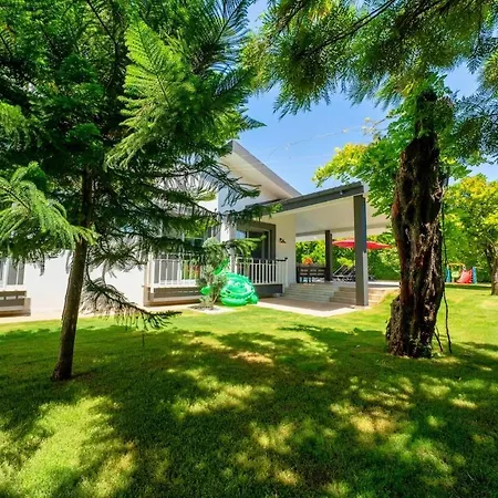 Yakamoz 别墅 费特希耶